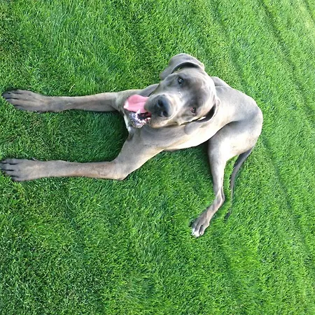 One Vendégház Ohaj